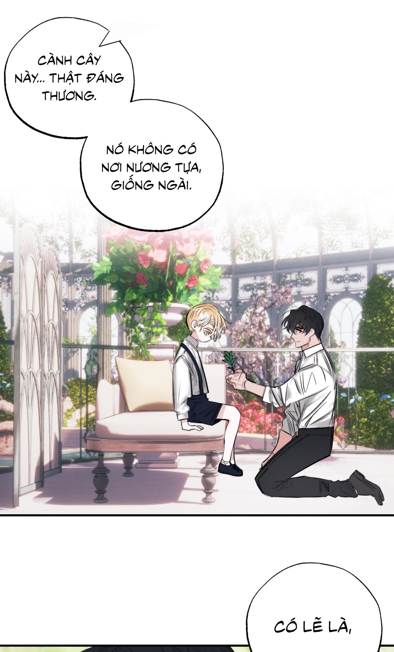 Đọc truyện KHU VƯỜN CỦA ESTHER - Chapter 6