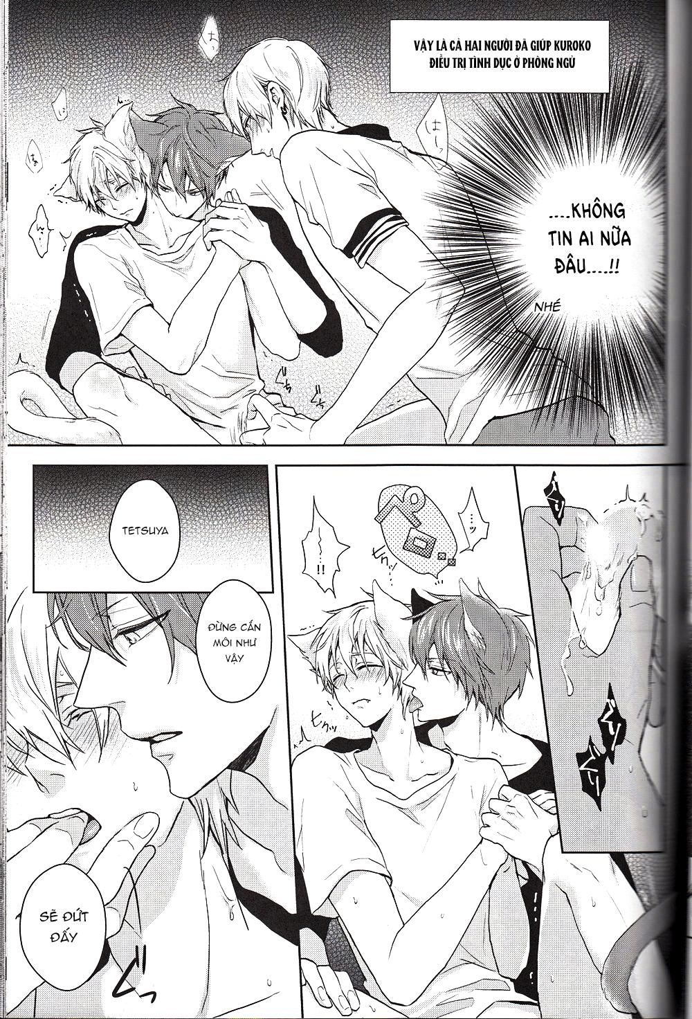 Đọc truyện Doujinshi của Kuroko no basket ball - Chapter 6