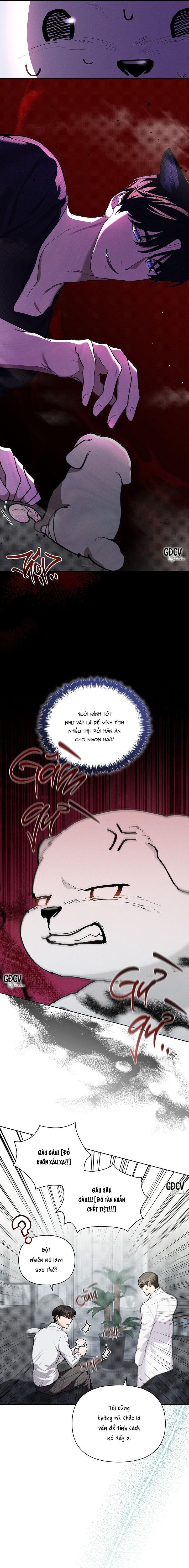 Đọc truyện ĐỪNG CHẠM VÀO CÚN CON CỦA TÔI - Chapter 7
