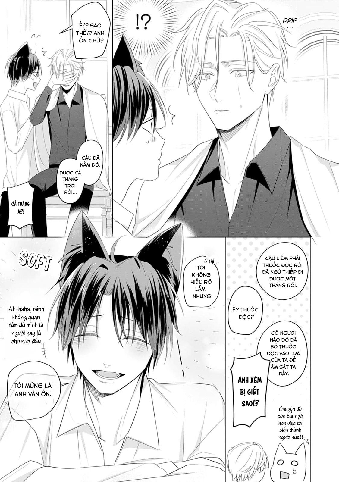 Đọc truyện Ở đây có yaoi hơi bị choáy - Chapter 220