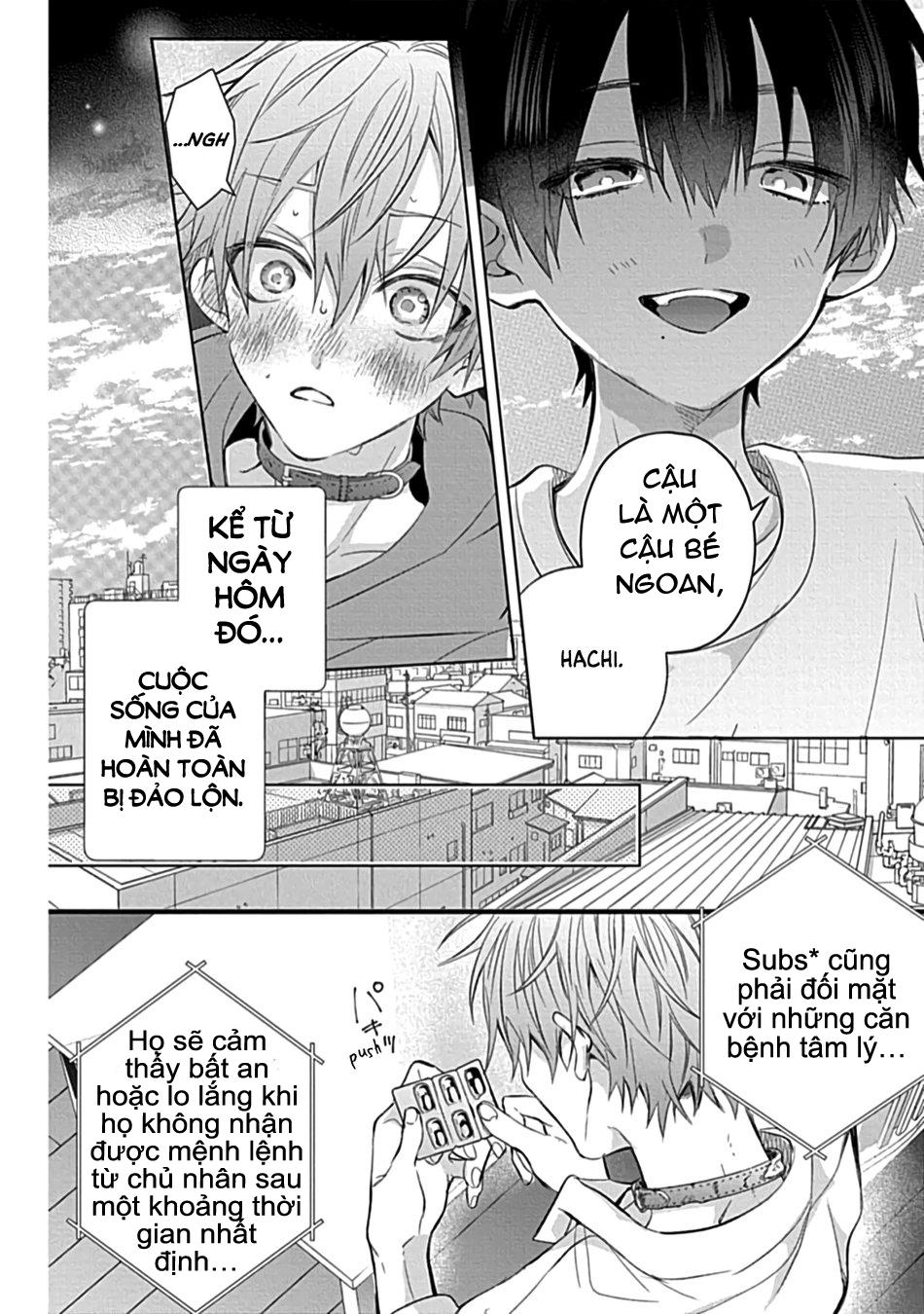 Đọc truyện Ở đây có yaoi hơi bị choáy - Chapter 107