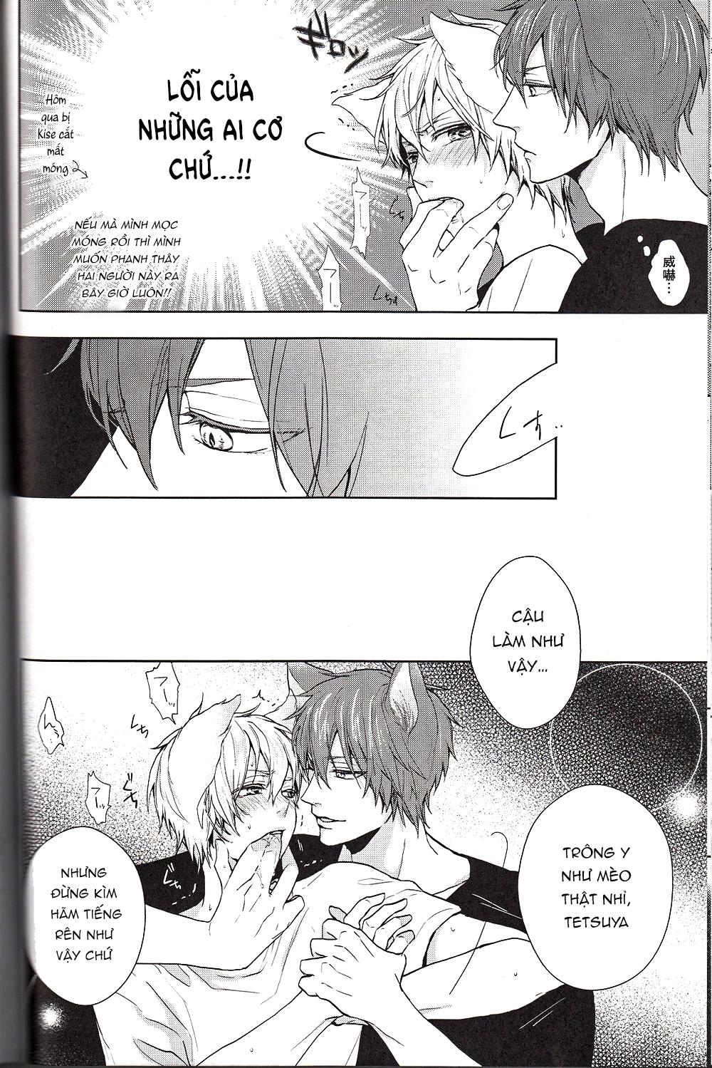 Đọc truyện Doujinshi của Kuroko no basket ball - Chapter 6