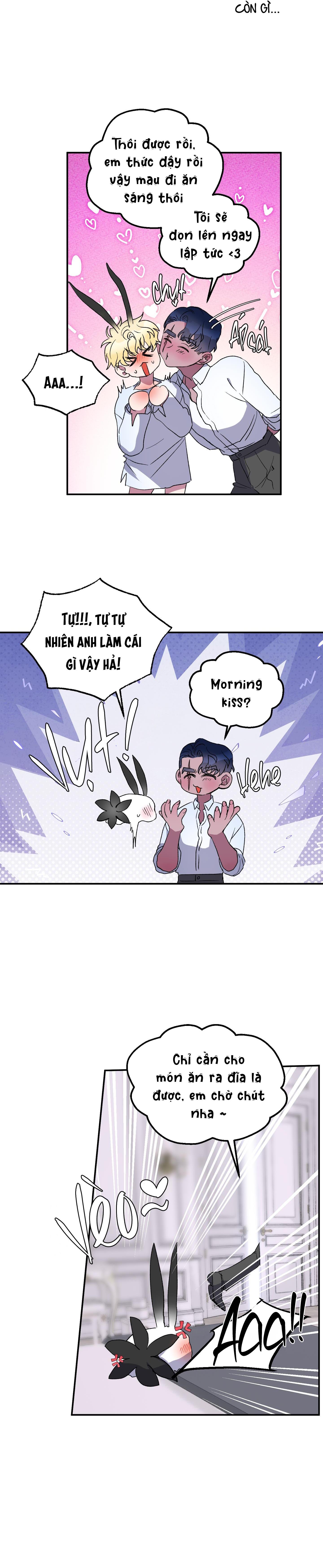 Đọc truyện CÁ MẬP VÀ CÔ DÂU THỎ - Chapter 26