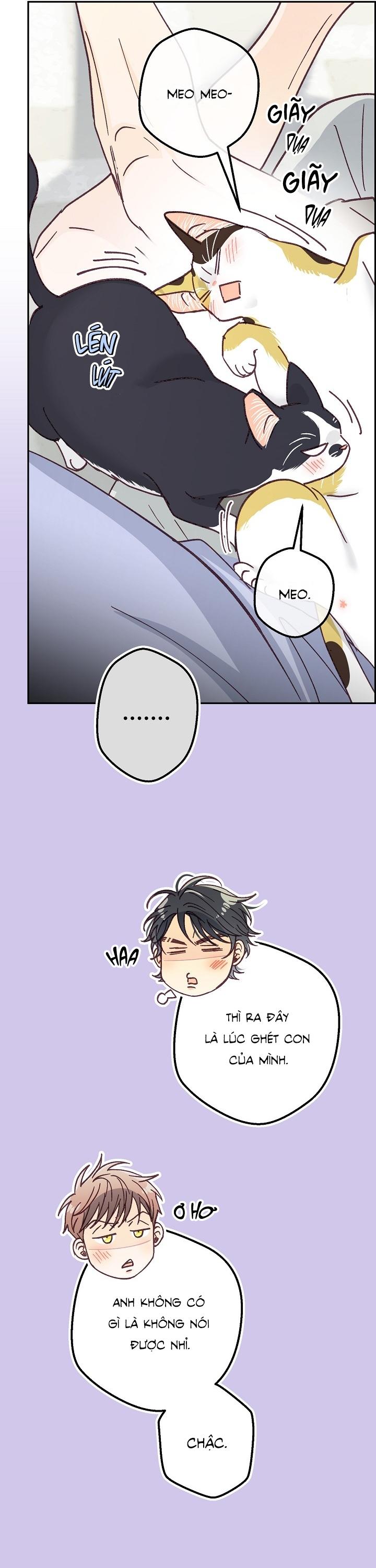 Đọc truyện [END] BẠN TRAI VÔ SONG CỦA TÔI - Chapter 37
