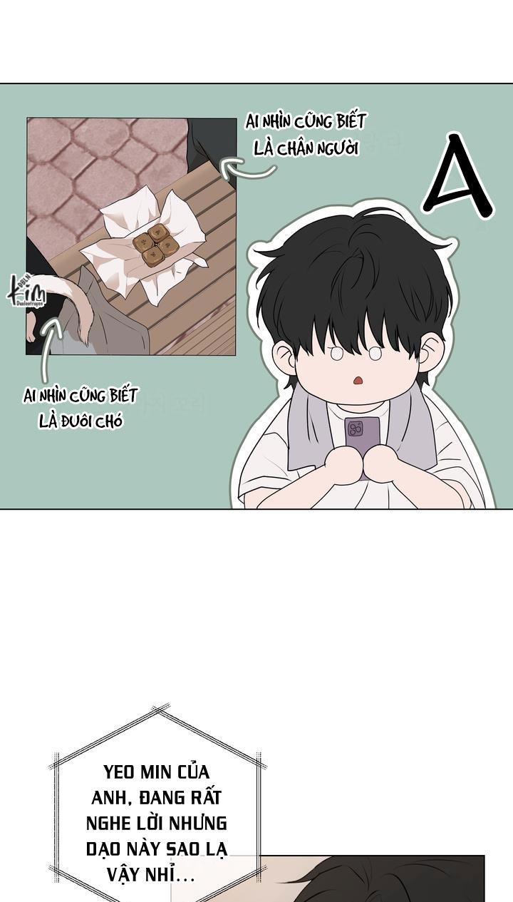 Đọc truyện BÁNH QUY TÌNH YÊU TAN CHẢY - Chapter 8