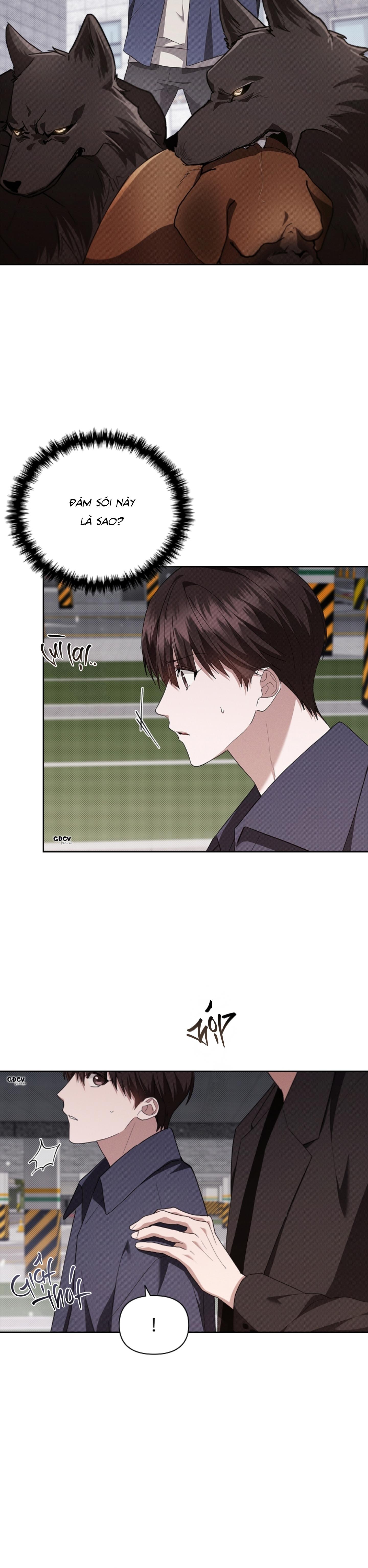 Đọc truyện ĐỪNG CHẠM VÀO CÚN CON CỦA TÔI - Chapter 24