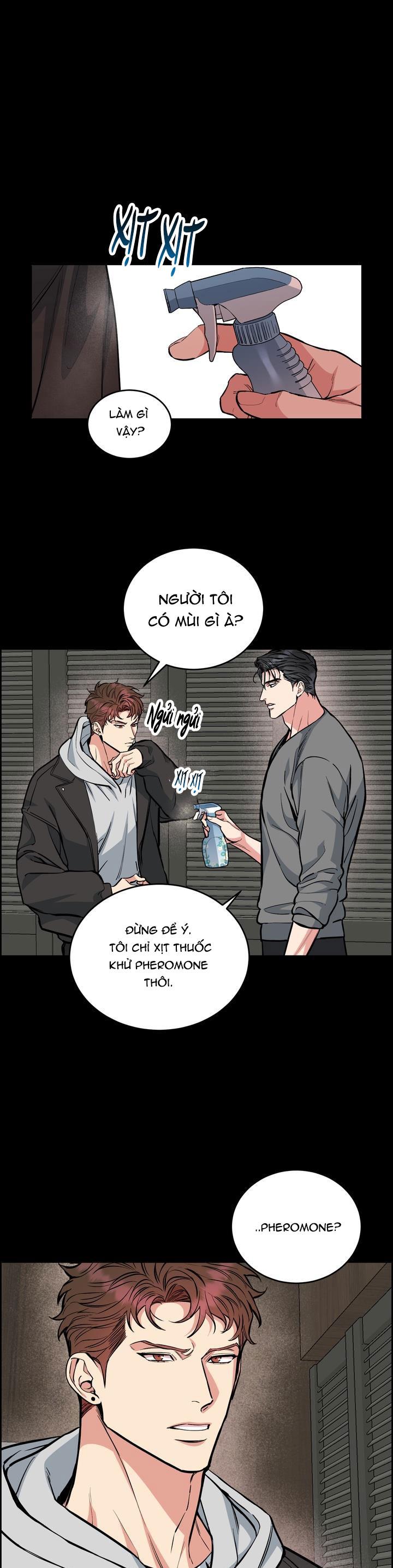 Đọc truyện CHÓ VÀ CHIM - Chapter 37