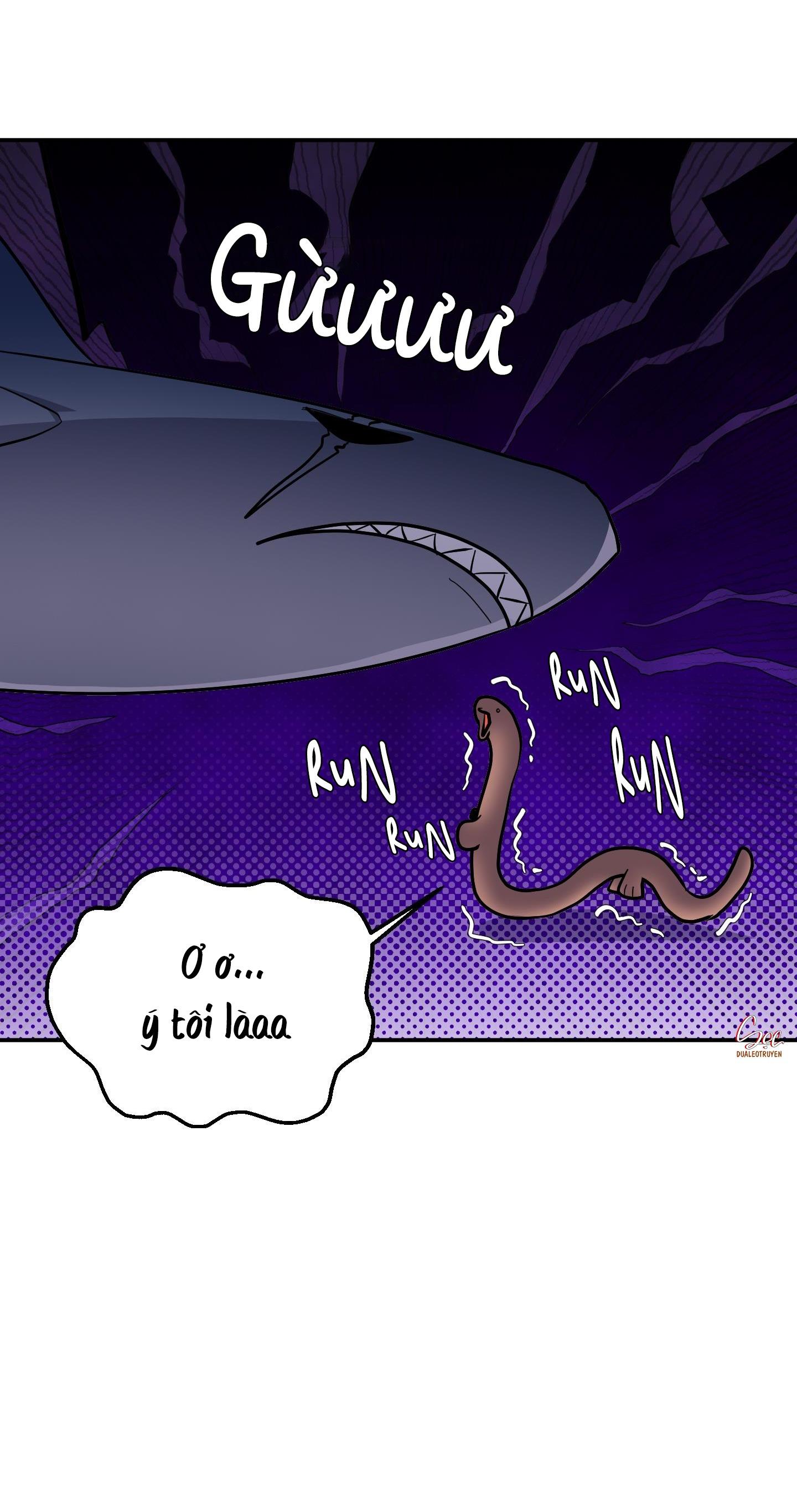 Đọc truyện CÁ MẬP VÀ CÔ DÂU THỎ - Chapter 33