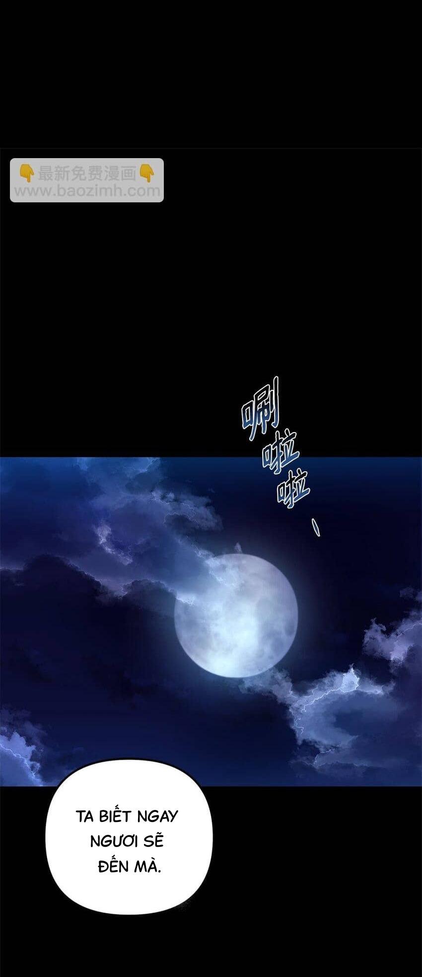 Đọc truyện Bạn Trai Mãnh Hổ Của Hắn - Chapter 24