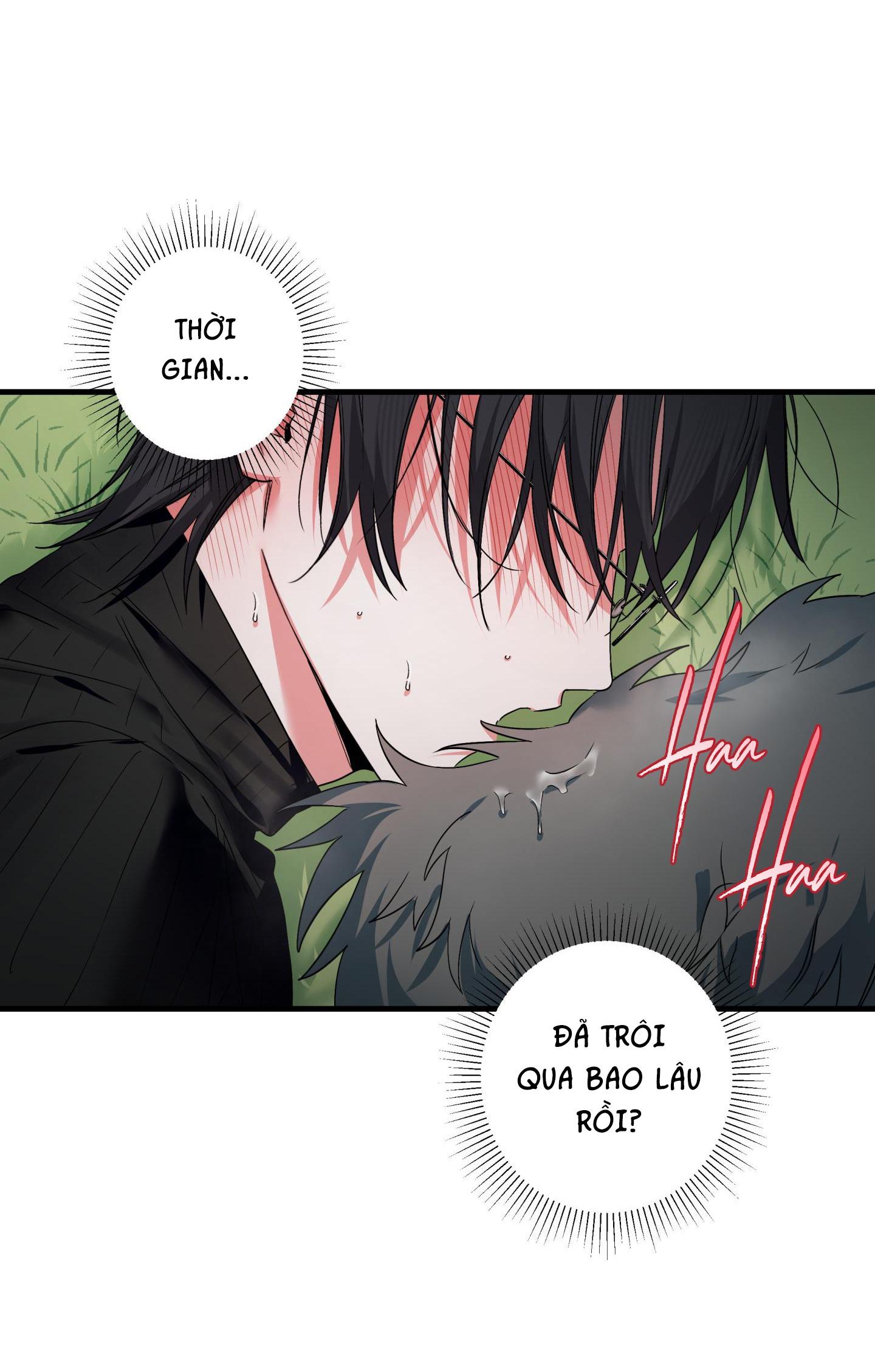 Đọc truyện DŨNG SĨ 3 CHÂN - Chapter 2