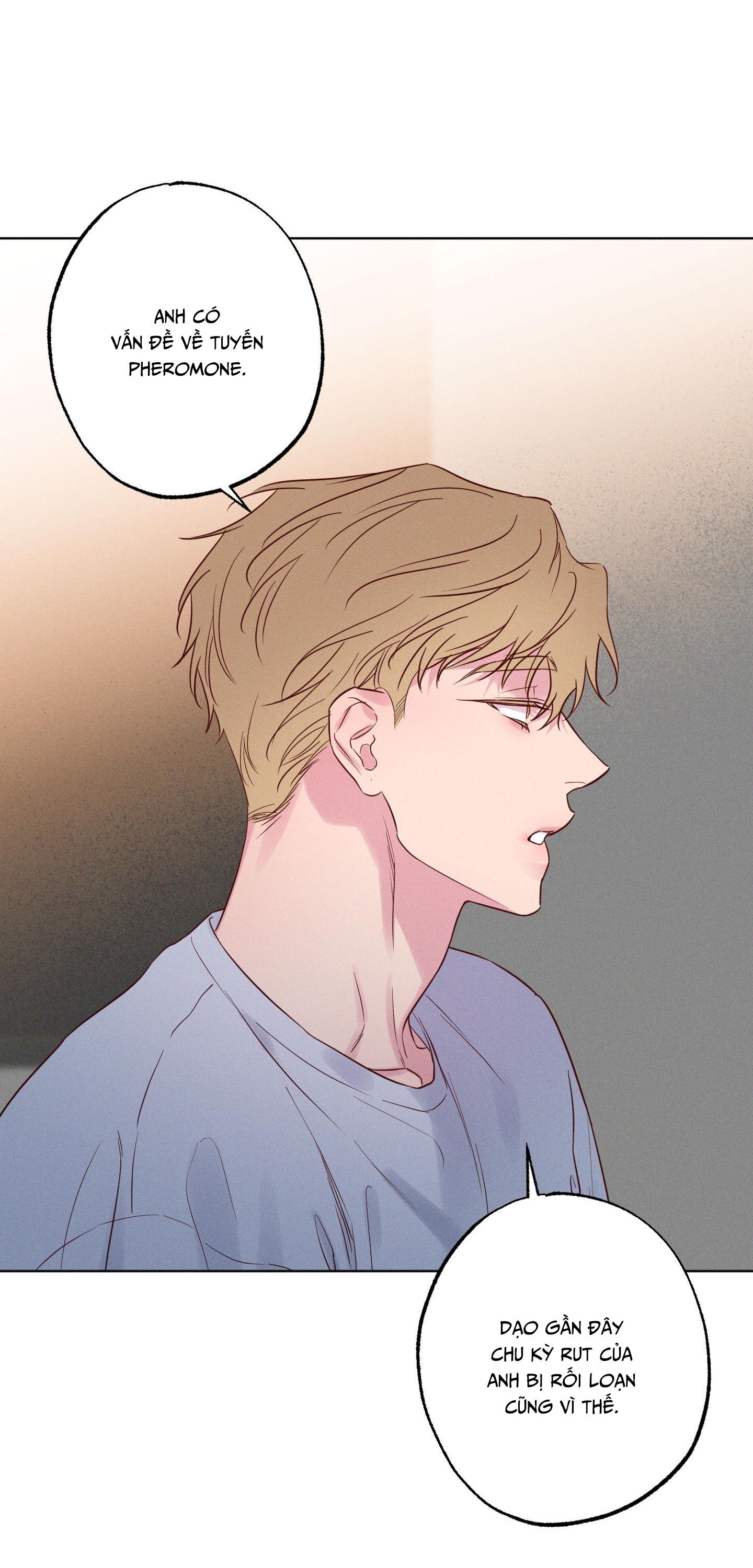 Đọc truyện BỜ SÓNG VỖ - Chapter 28