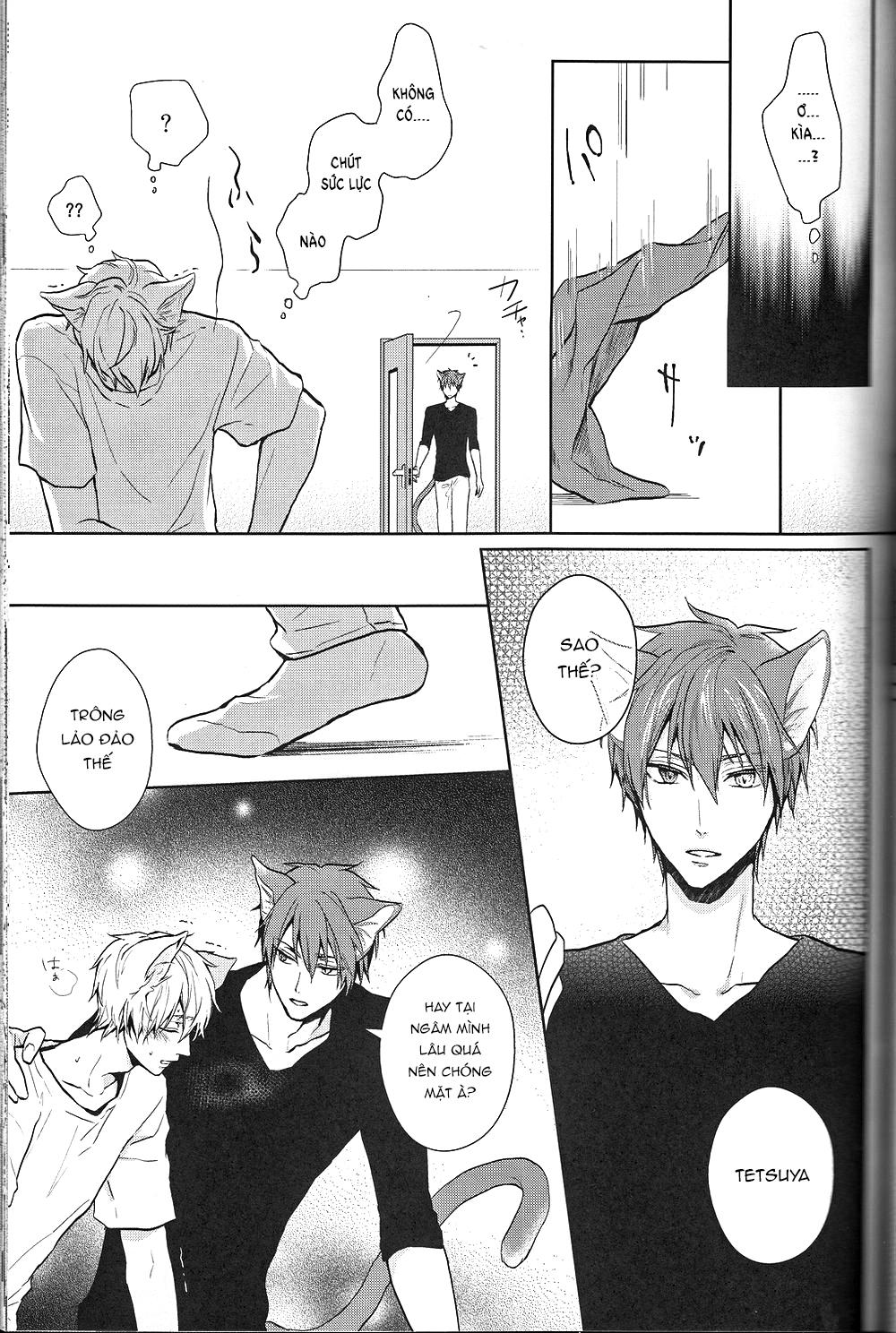 Đọc truyện Doujinshi của Kuroko no basket ball - Chapter 6