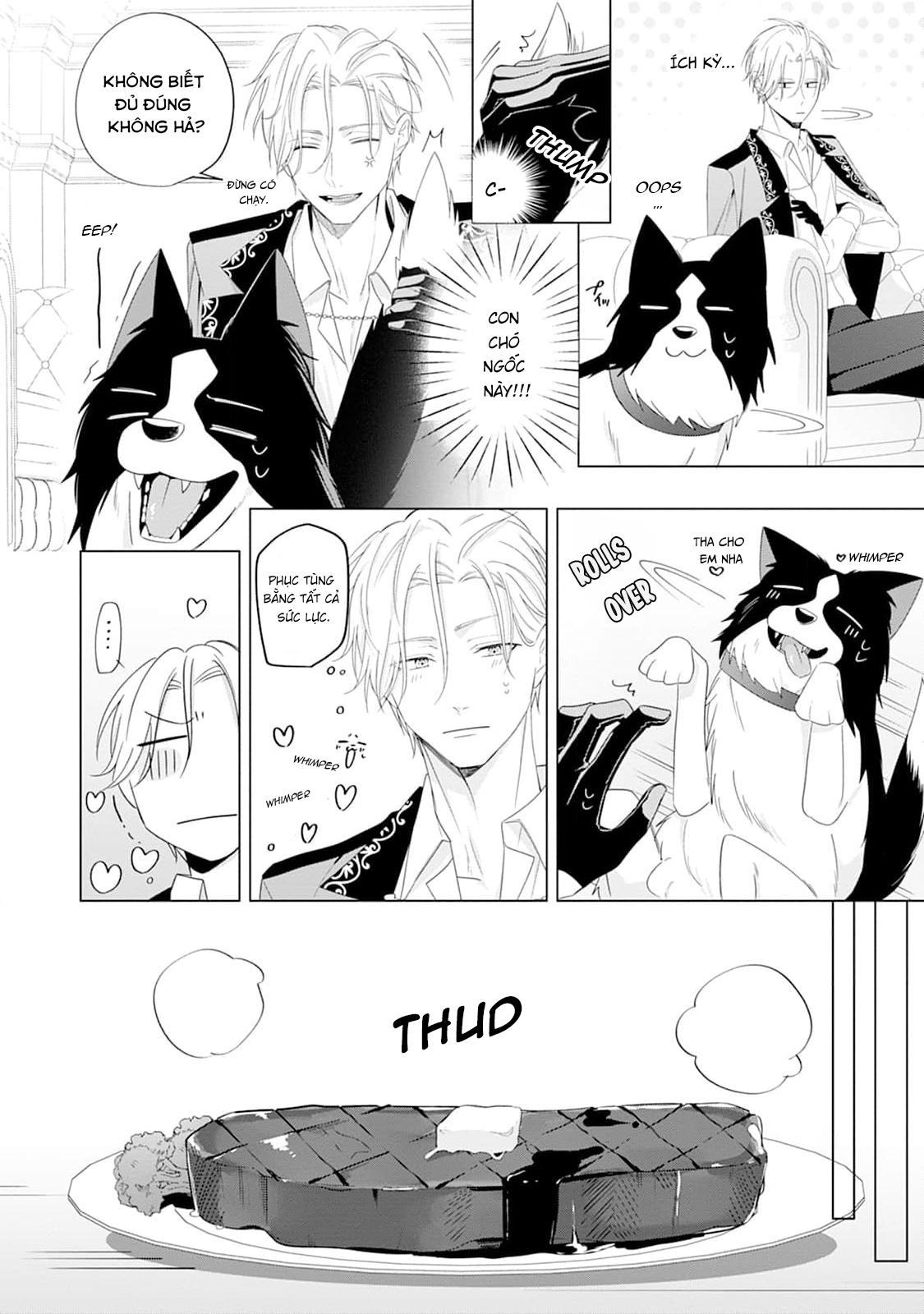 Đọc truyện Ở đây có yaoi hơi bị choáy - Chapter 220