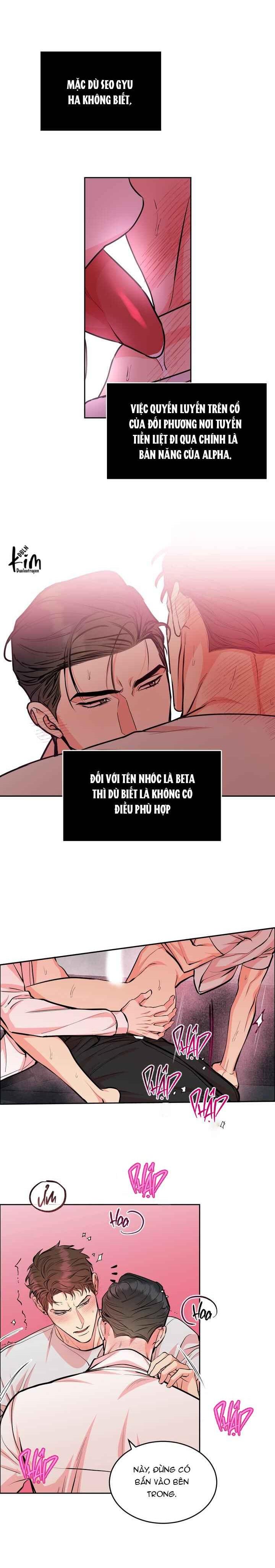 Đọc truyện CHÓ VÀ CHIM - Chapter 29