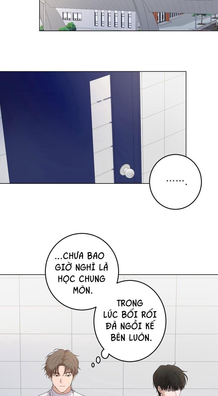 Đọc truyện BÁNH QUY TÌNH YÊU TAN CHẢY - Chapter 6