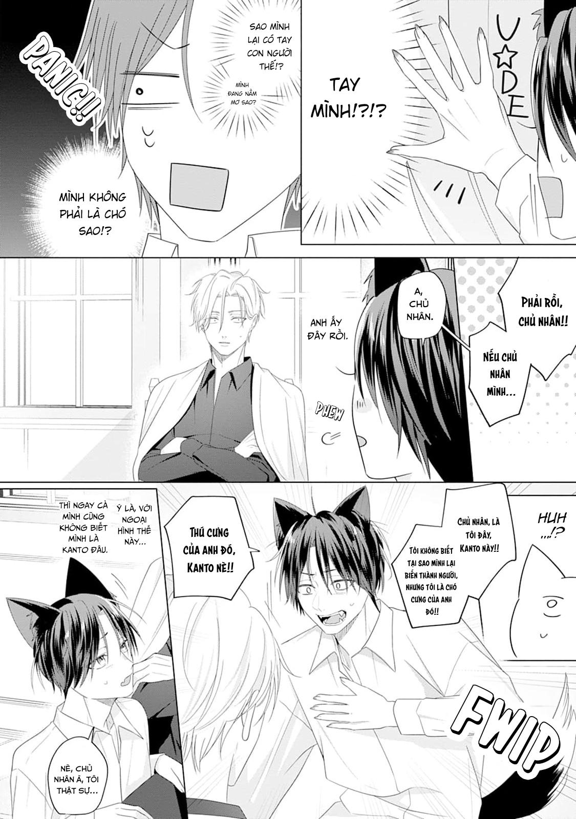 Đọc truyện Ở đây có yaoi hơi bị choáy - Chapter 220