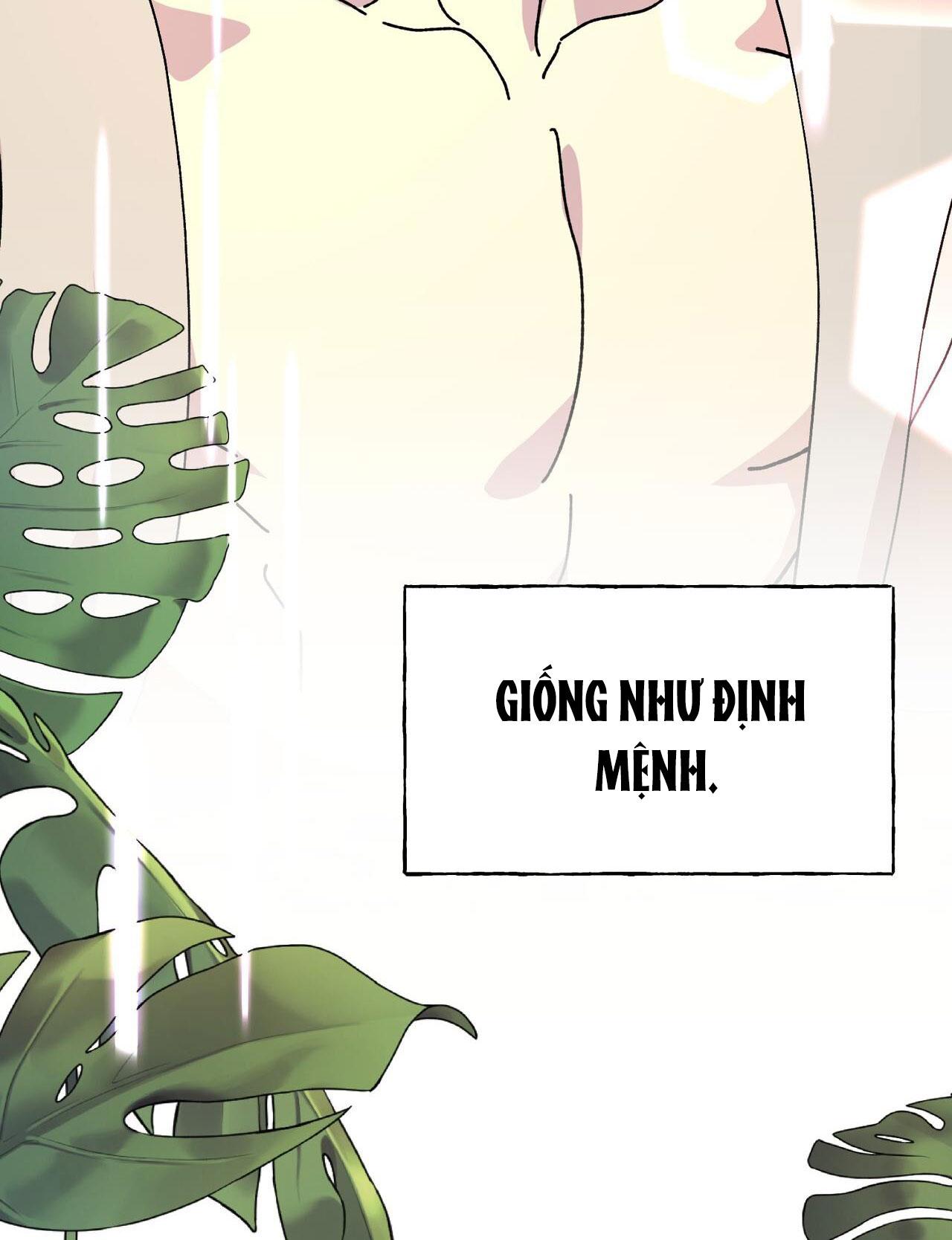Đọc truyện (ABO) ĐÁM CƯỚI HOÀNG GIA - Chapter 24