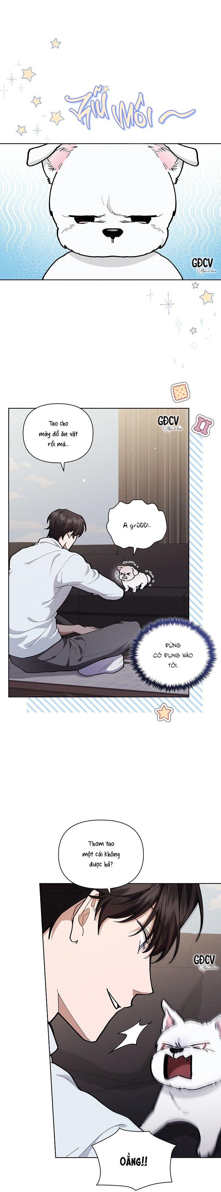 Đọc truyện ĐỪNG CHẠM VÀO CÚN CON CỦA TÔI - Chapter 5