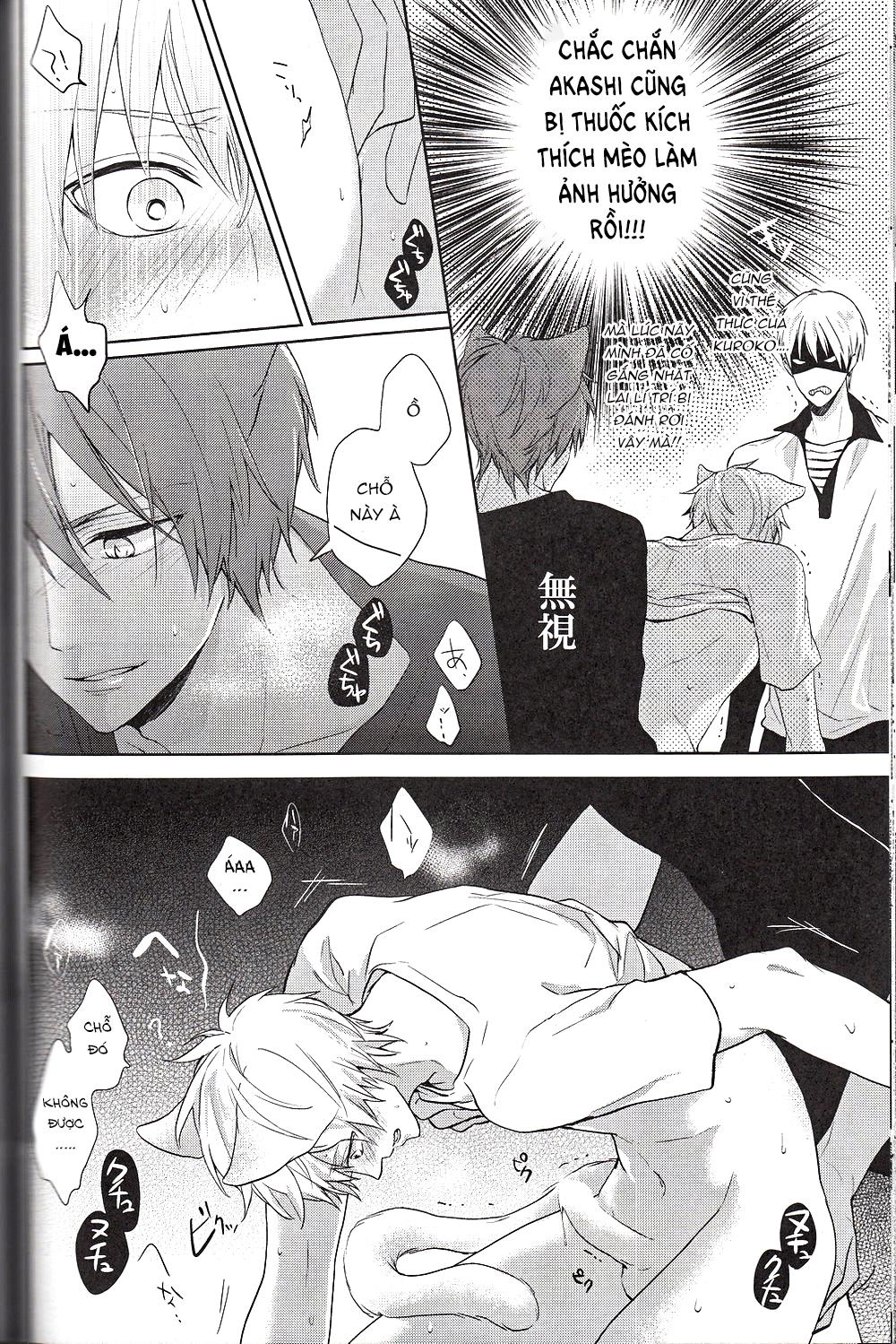 Đọc truyện Doujinshi của Kuroko no basket ball - Chapter 6