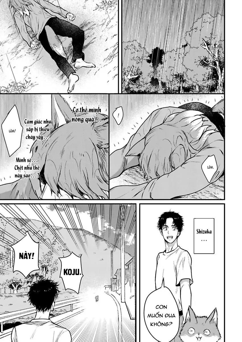 Đọc truyện Con trai nuôi của tôi đang phát tình - Chapter 6