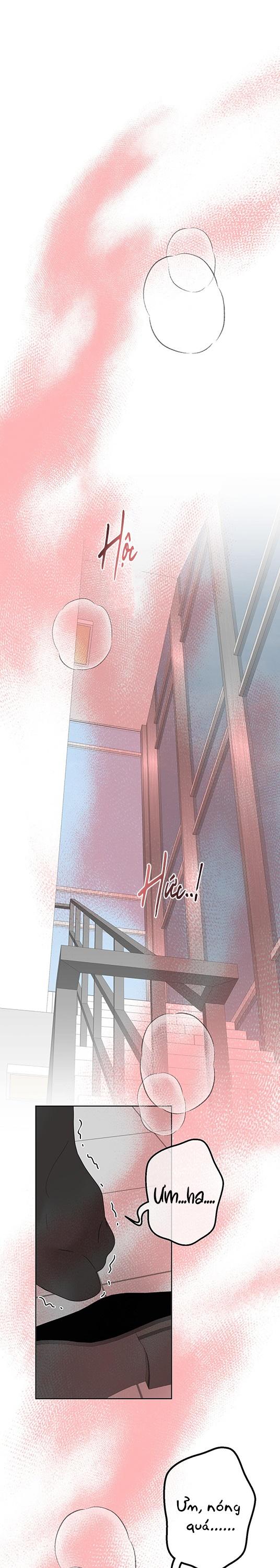 Đọc truyện RANH GIỚI CỦA MÙI HƯƠNG - Chapter 13
