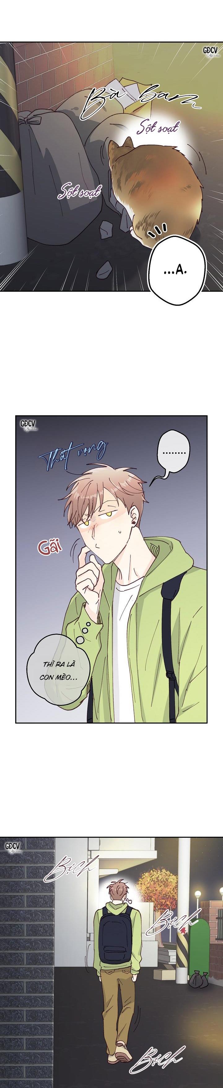 Đọc truyện [END] BẠN TRAI VÔ SONG CỦA TÔI - Chapter 15
