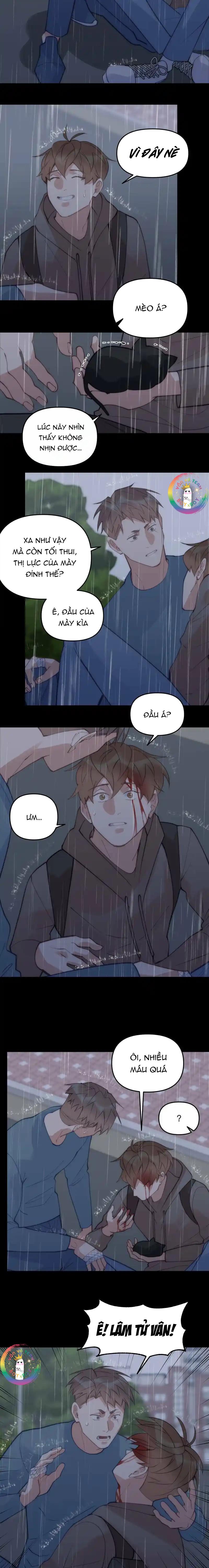 Đọc truyện (END) Đàn Anh Sói Ca Cùng Phòng Của Tôi - Chapter 67
