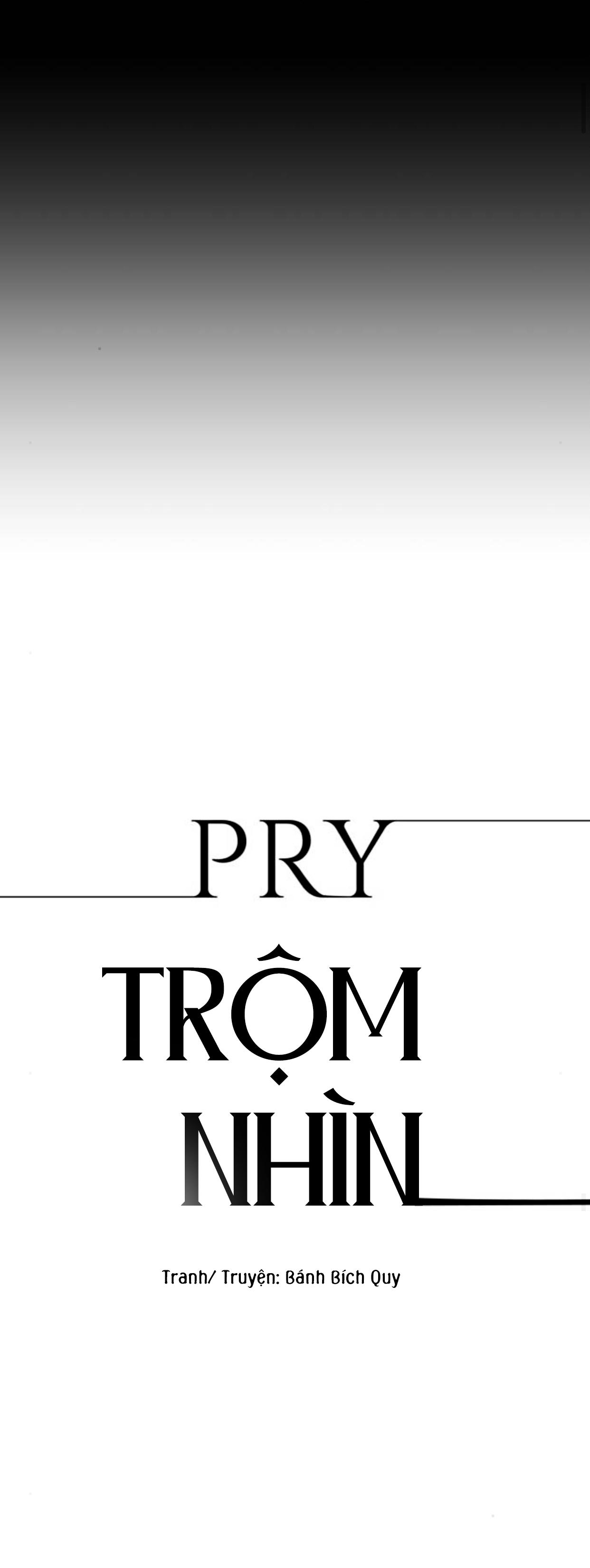 Đọc truyện PRY (Trộm Nhìn) -END - Chapter 16