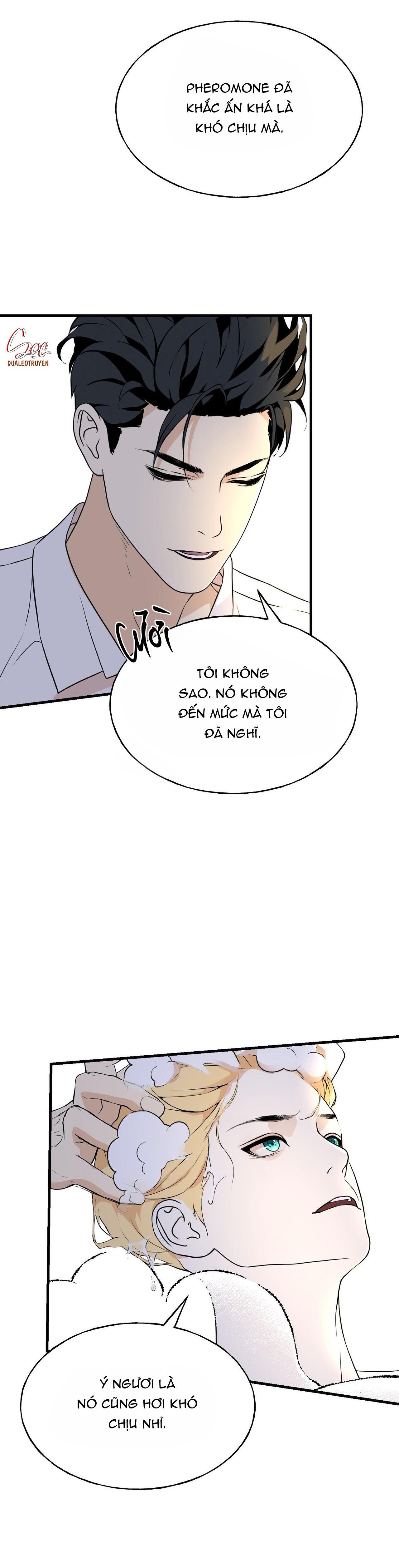 Đọc truyện (ABO) ĐÁM CƯỚI HOÀNG GIA - Chapter 13