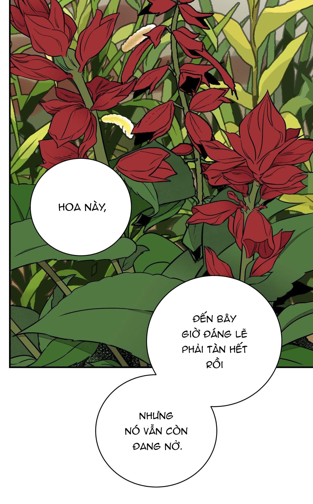 Đọc truyện KIẾM HOA - Chapter 70