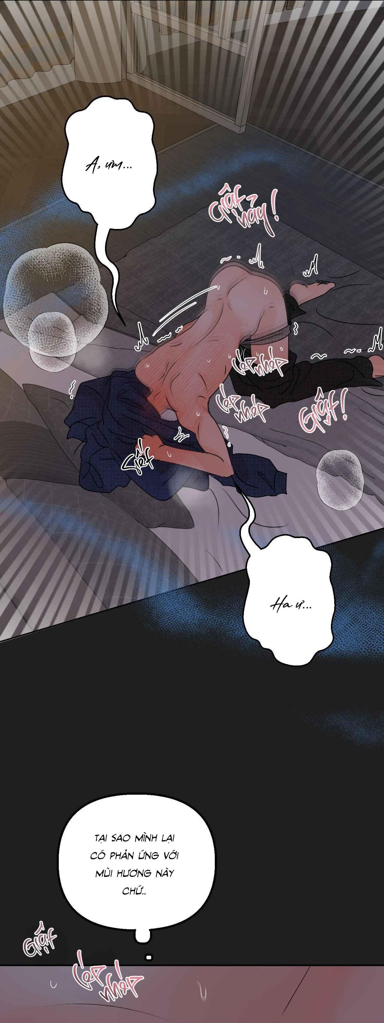 Đọc truyện RANH GIỚI CỦA MÙI HƯƠNG - Chapter 34