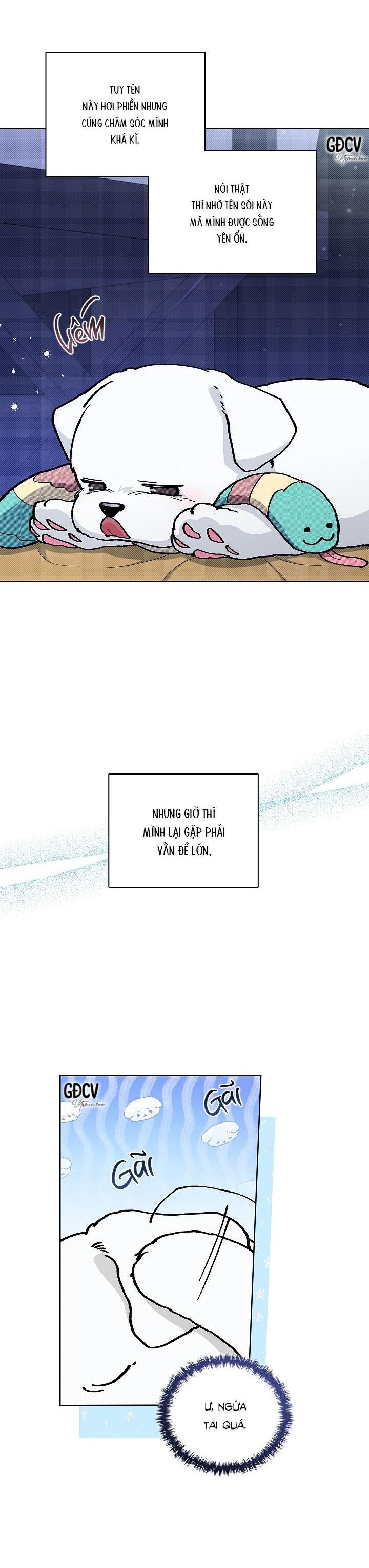 Đọc truyện ĐỪNG CHẠM VÀO CÚN CON CỦA TÔI - Chapter 6