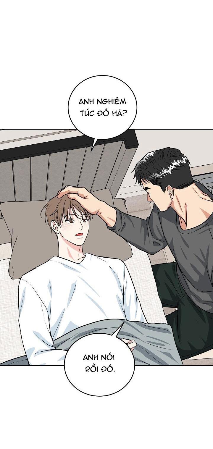 Đọc truyện (ABO) HANG HỔ - Chapter 45