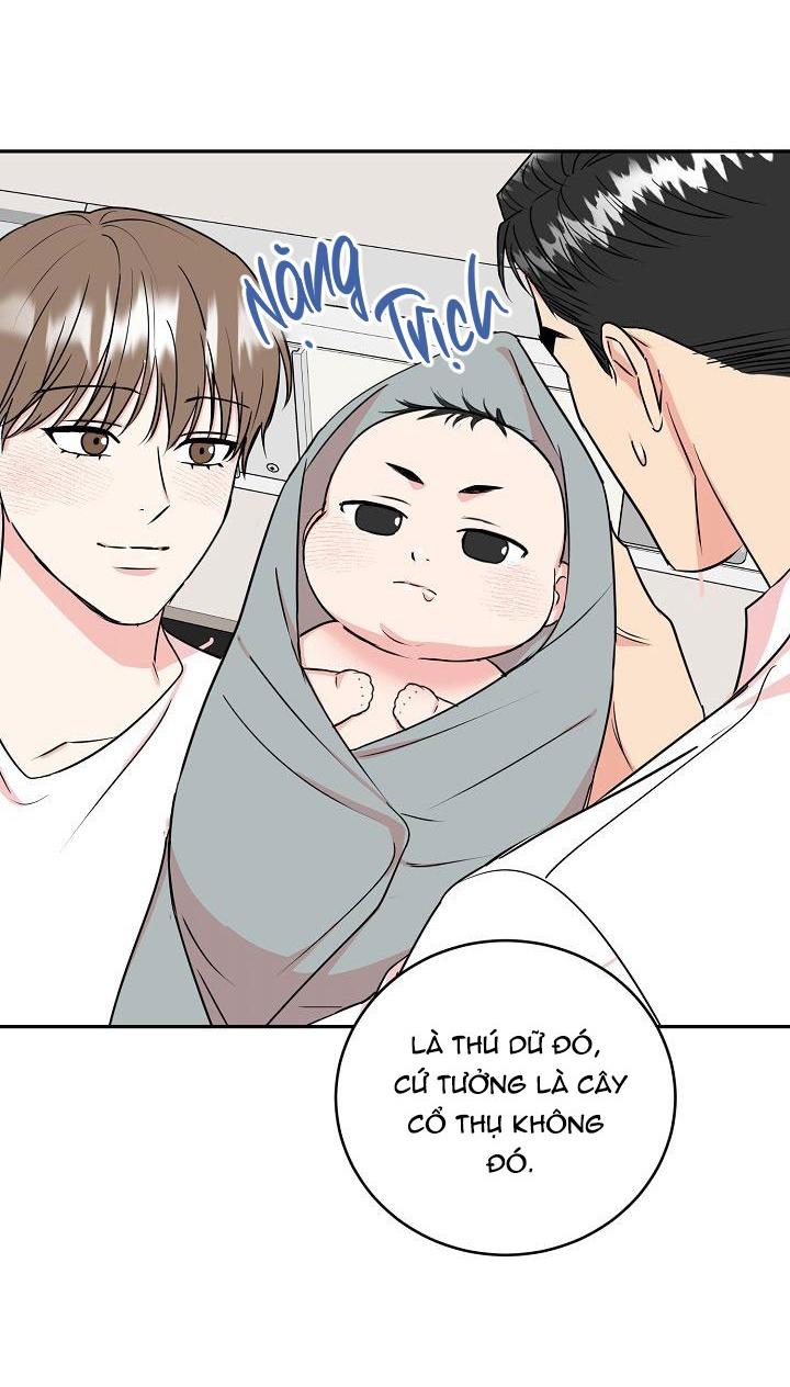 Đọc truyện (ABO) HANG HỔ - Chapter 45