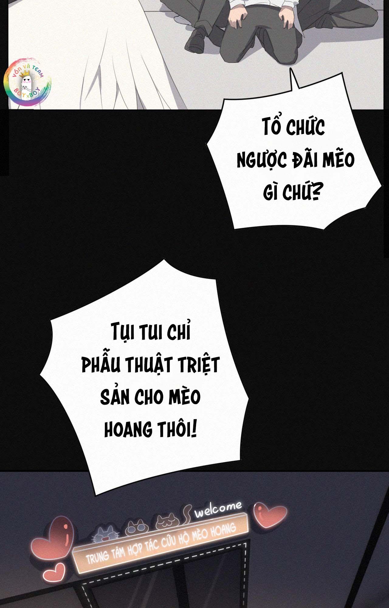 Đọc truyện Xã Hội Mồn Lèo - Chapter 38