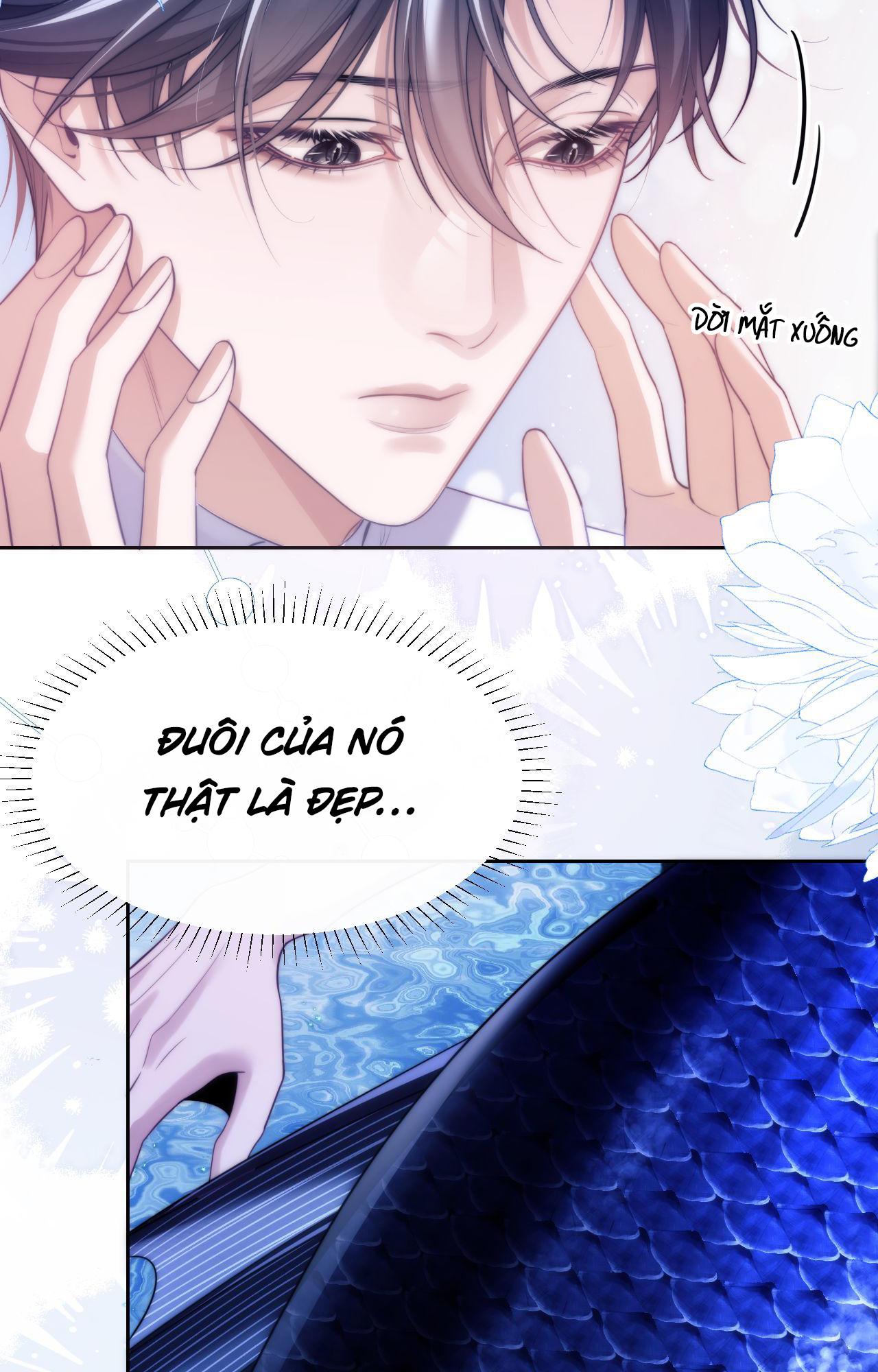 Đọc truyện Nhân Ngư Desharow - Chapter 44