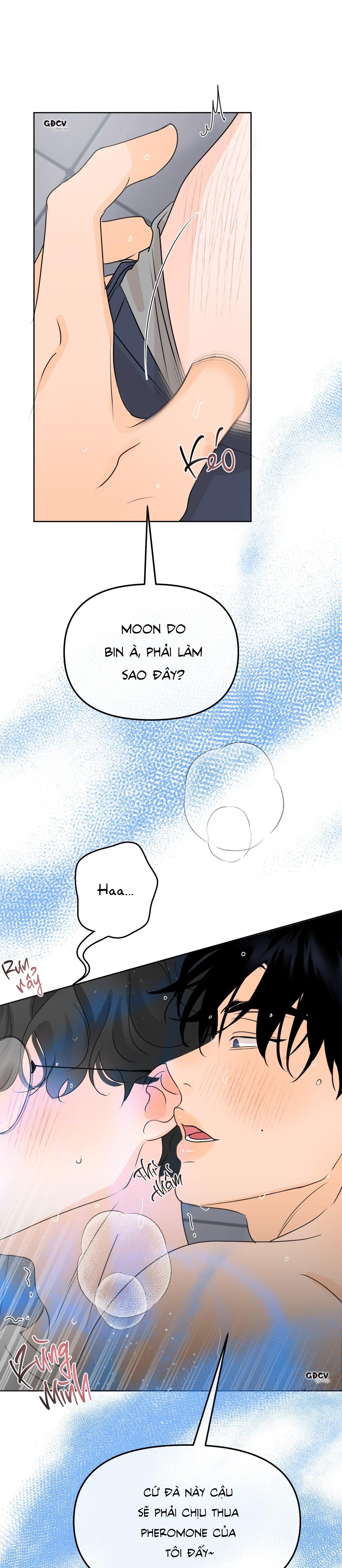 Đọc truyện RANH GIỚI CỦA MÙI HƯƠNG - Chapter 36