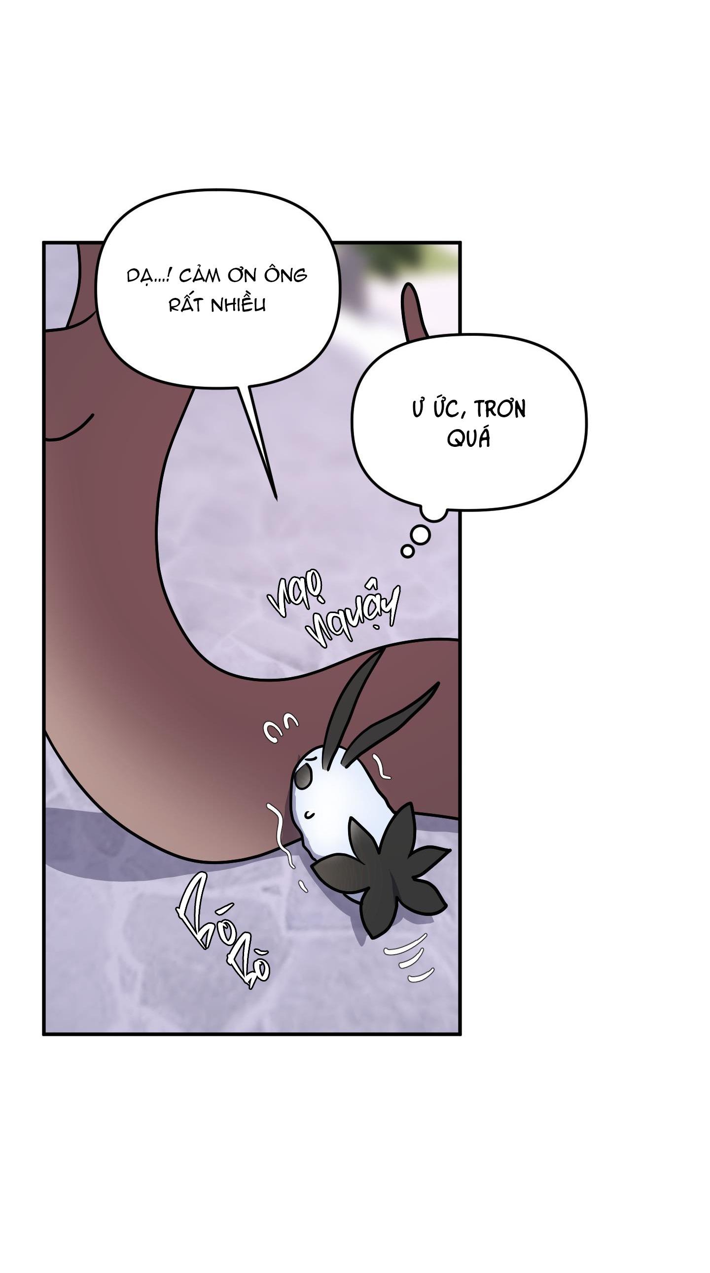 Đọc truyện CÁ MẬP VÀ CÔ DÂU THỎ - Chapter 32