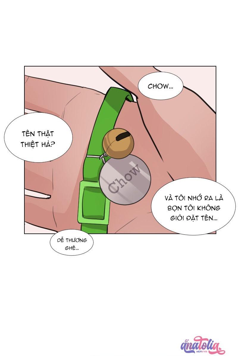 Đọc truyện The Doctors are Out - Chapter 17