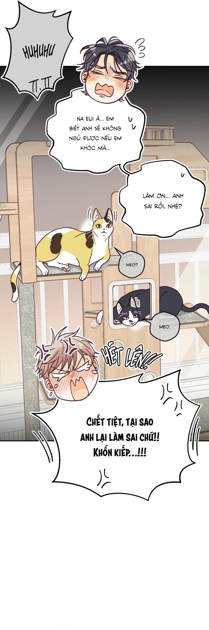 Đọc truyện [END] BẠN TRAI VÔ SONG CỦA TÔI - Chapter 36