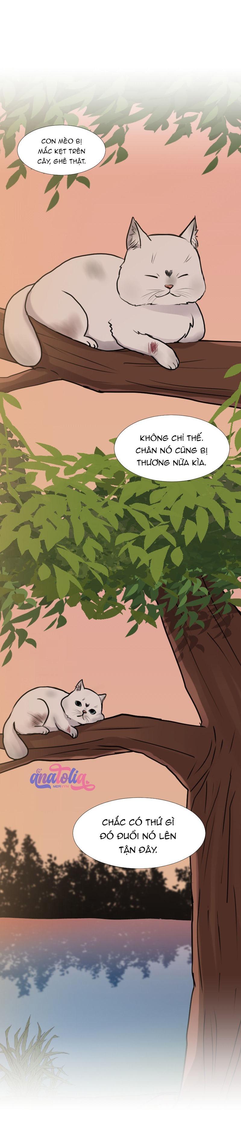 Đọc truyện The Doctors are Out - Chapter 17