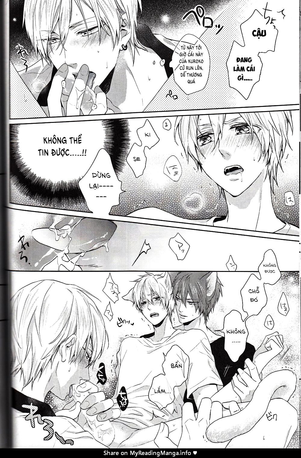 Đọc truyện Doujinshi của Kuroko no basket ball - Chapter 6