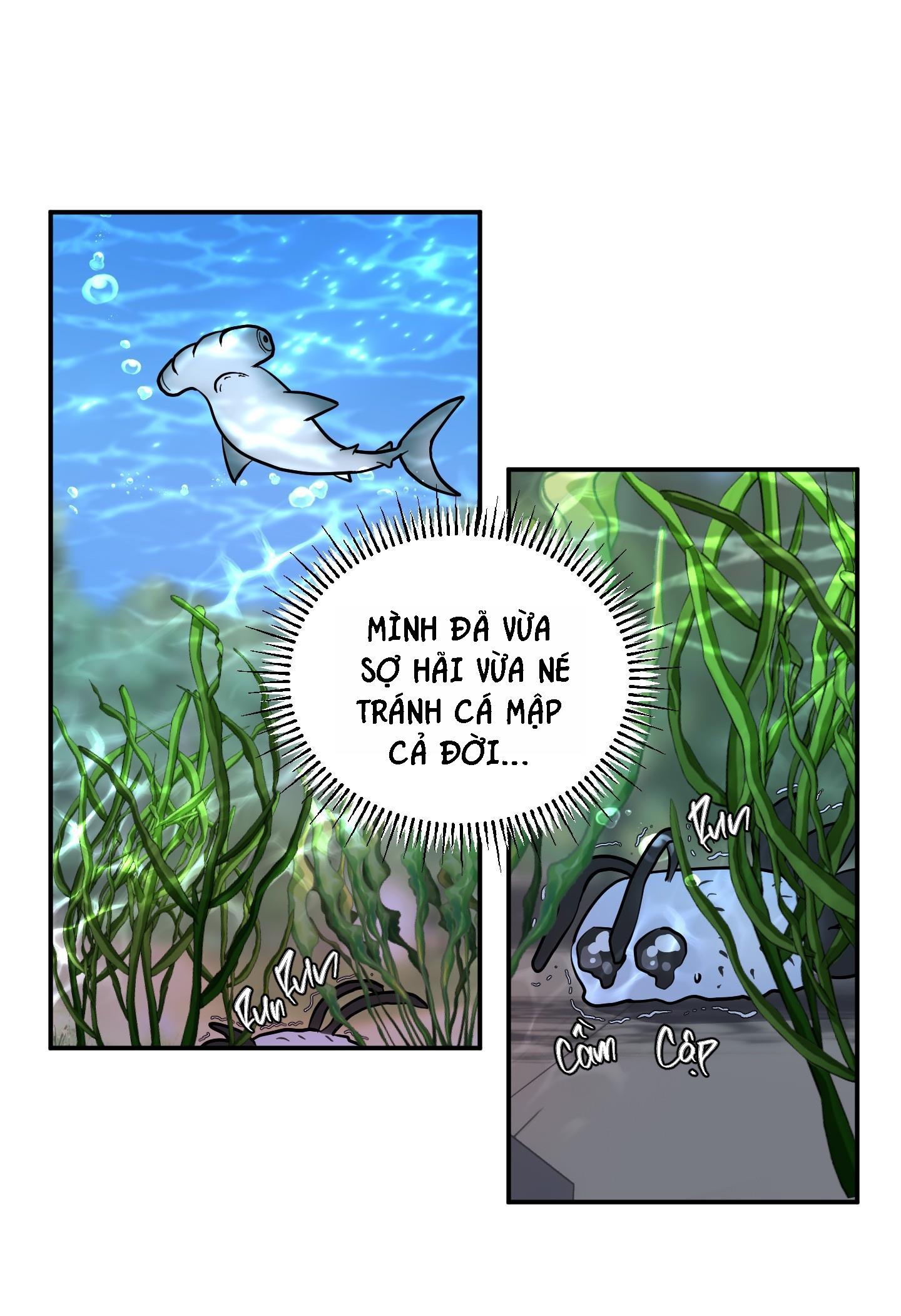 Đọc truyện CÁ MẬP VÀ CÔ DÂU THỎ - Chapter 38