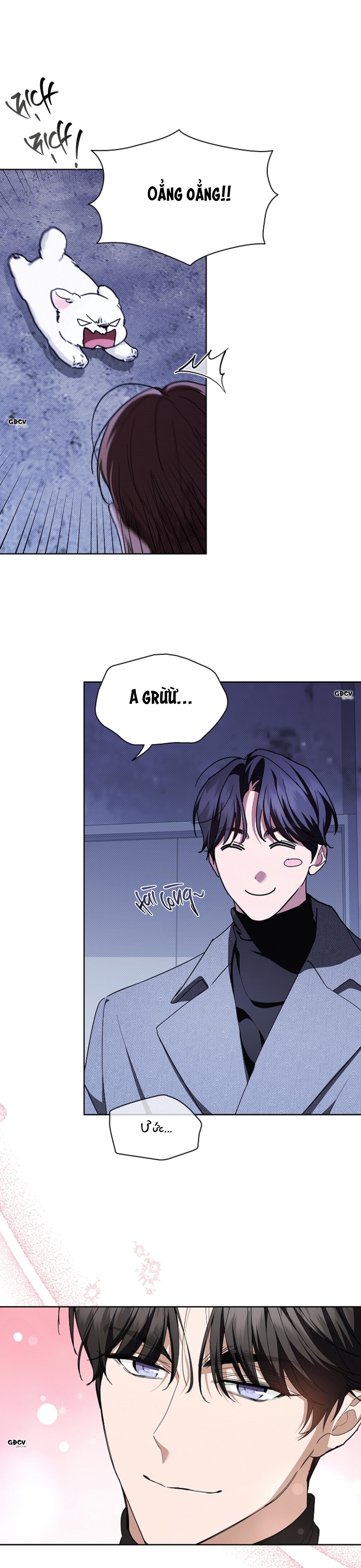 Đọc truyện ĐỪNG CHẠM VÀO CÚN CON CỦA TÔI - Chapter 17