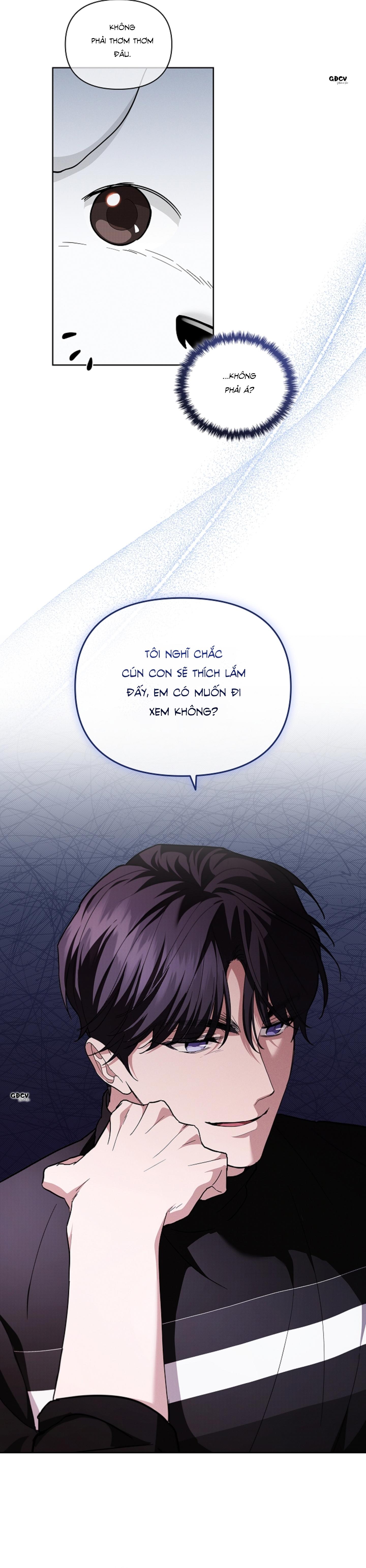 Đọc truyện ĐỪNG CHẠM VÀO CÚN CON CỦA TÔI - Chapter 17