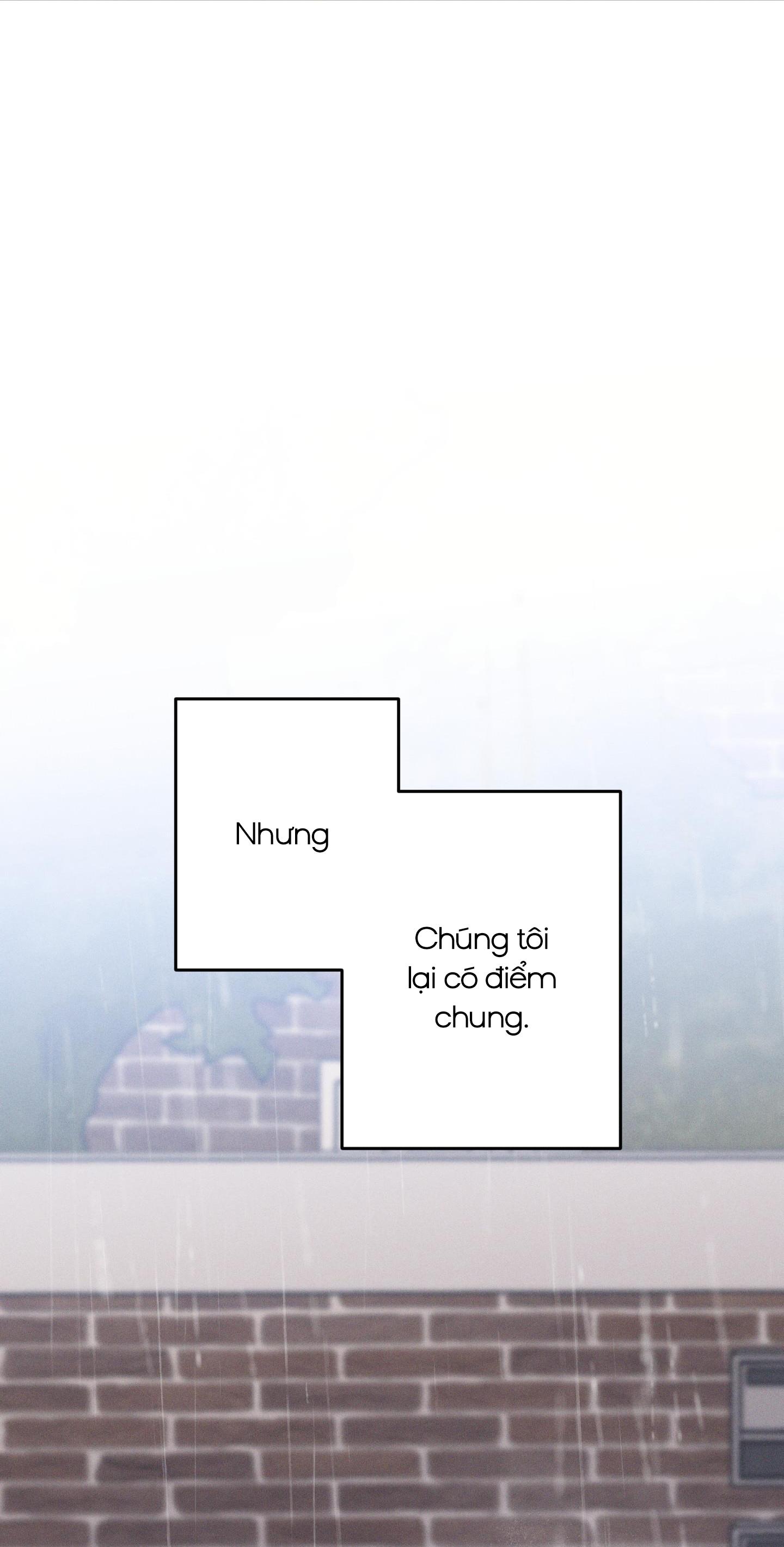 Đọc truyện BỜ SÓNG VỖ - Chapter 27