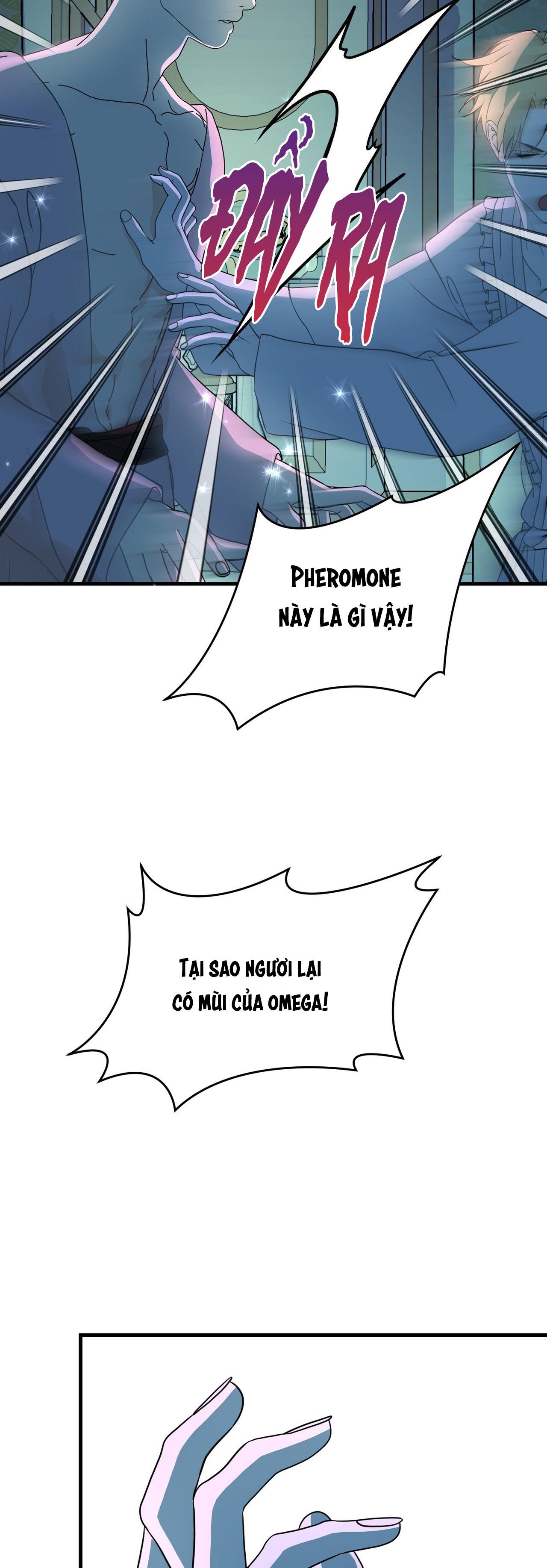 Đọc truyện (ABO) ĐÁM CƯỚI HOÀNG GIA - Chapter 28