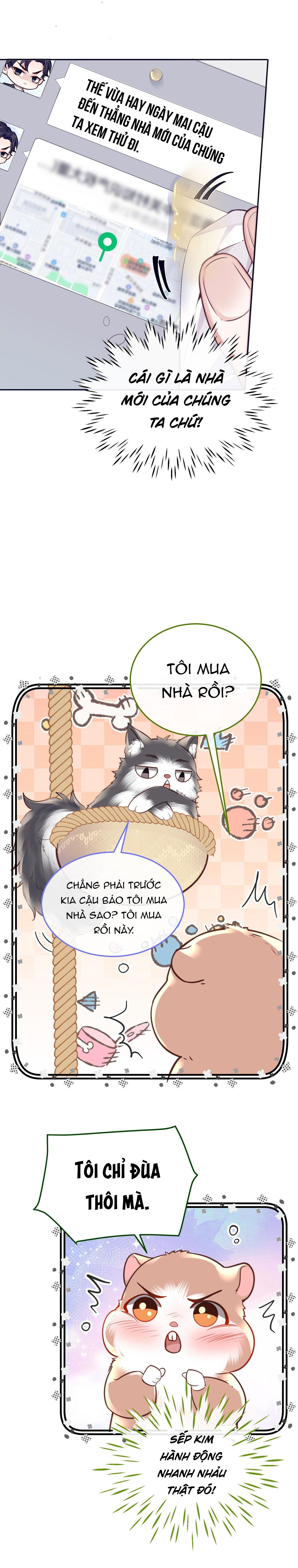 Đọc truyện Đặc Chế Cho Riêng Anh - Chapter 80