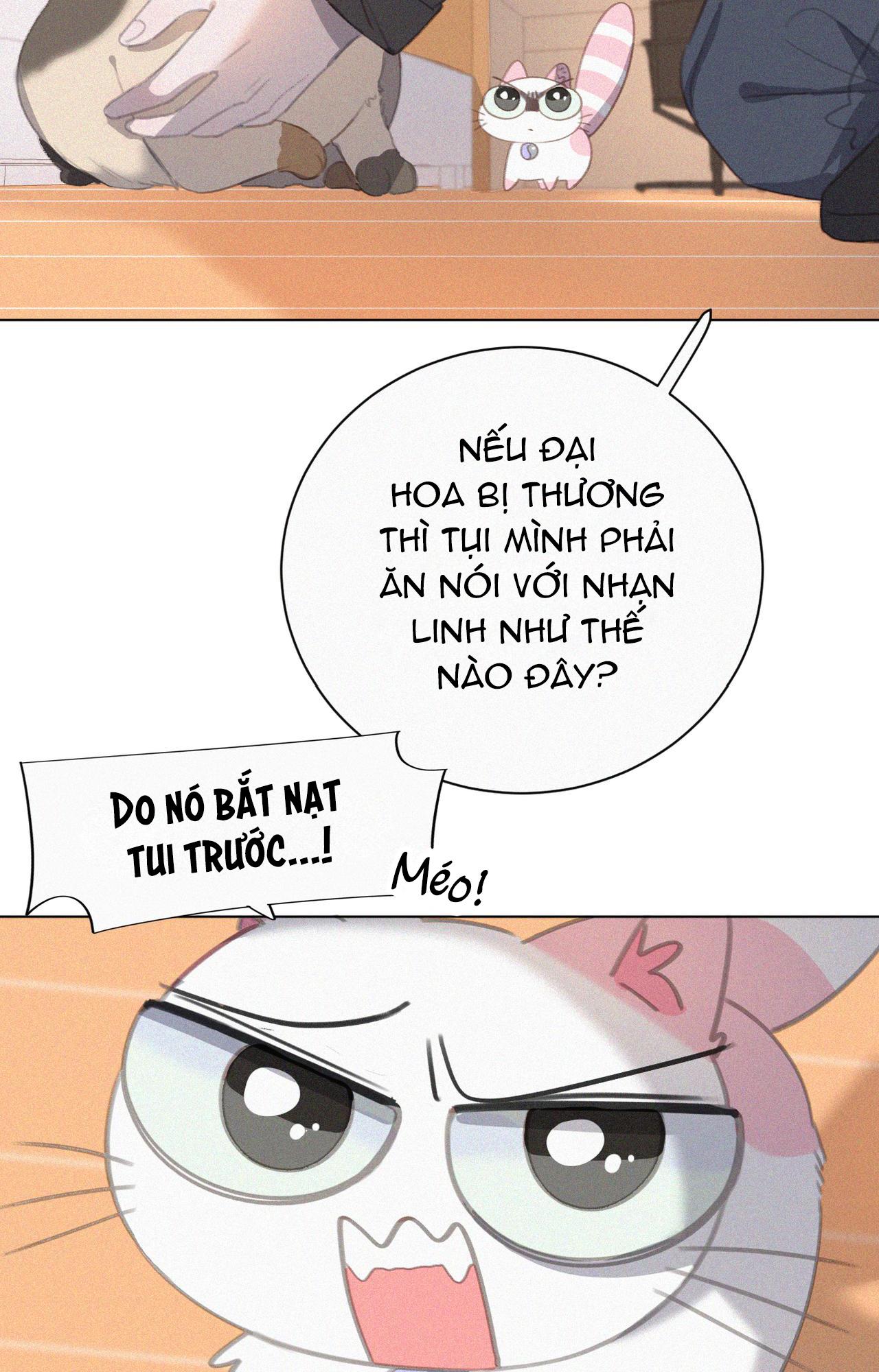 Đọc truyện Xã Hội Mồn Lèo - Chapter 34