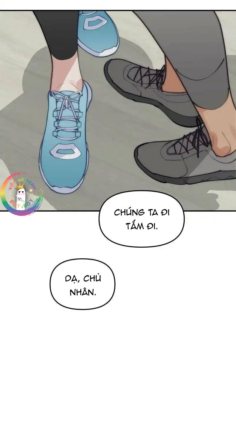 Đọc truyện (END) Đàn Anh Sói Ca Cùng Phòng Của Tôi - Chapter 81